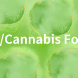CBD/Cannabisフォーラムってなに？概要や使い方を解説【CBD部サービス紹介】