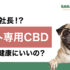 【後編】パグがCEO!? ペット専用CBD ベイリーズ共同創業者にインタビュー